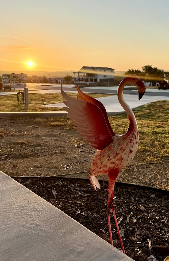 A metal flamingo with wings spread catching the last light of a Hill Country sunset over the resort
