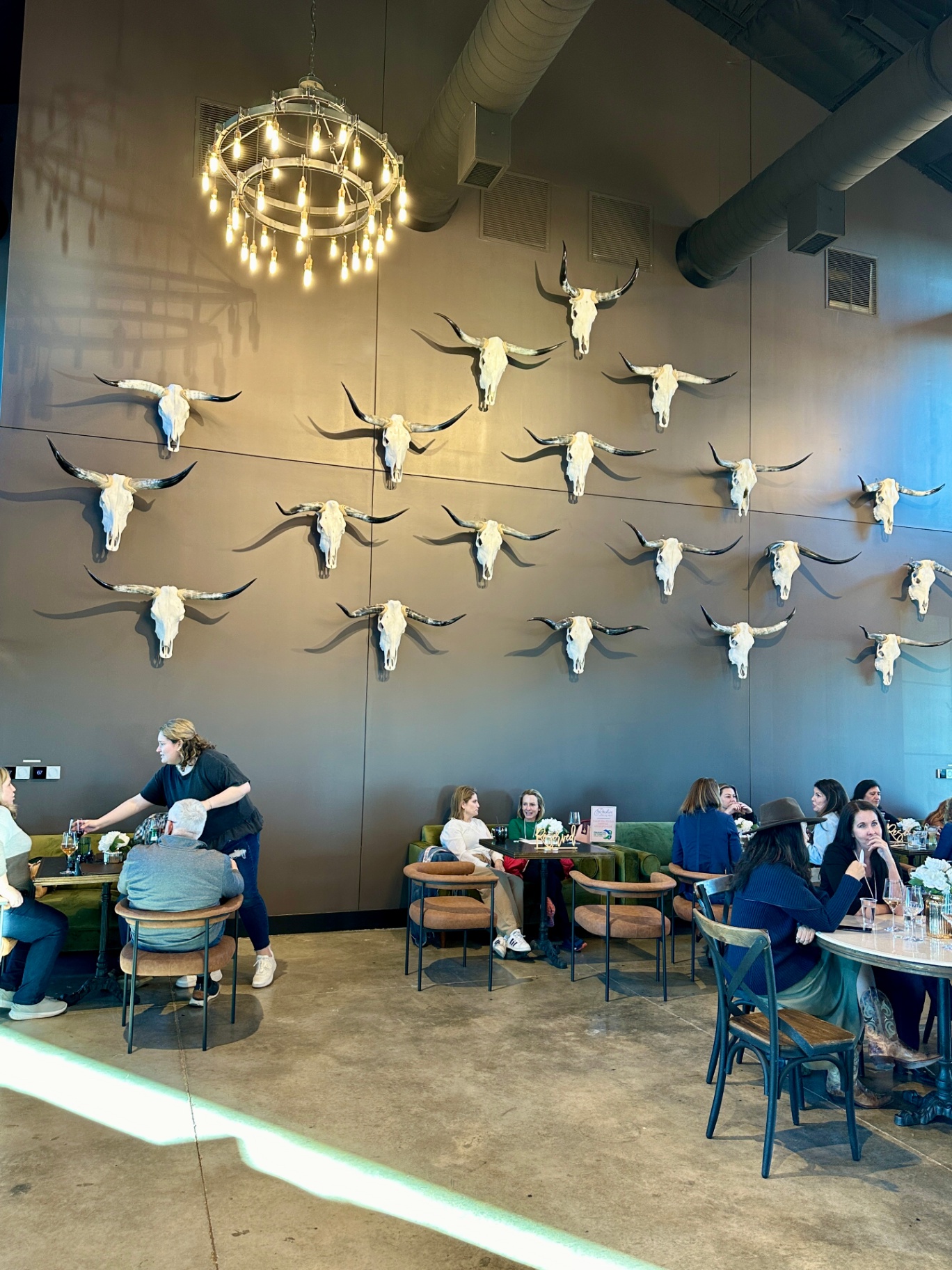 Longhorns on the wall