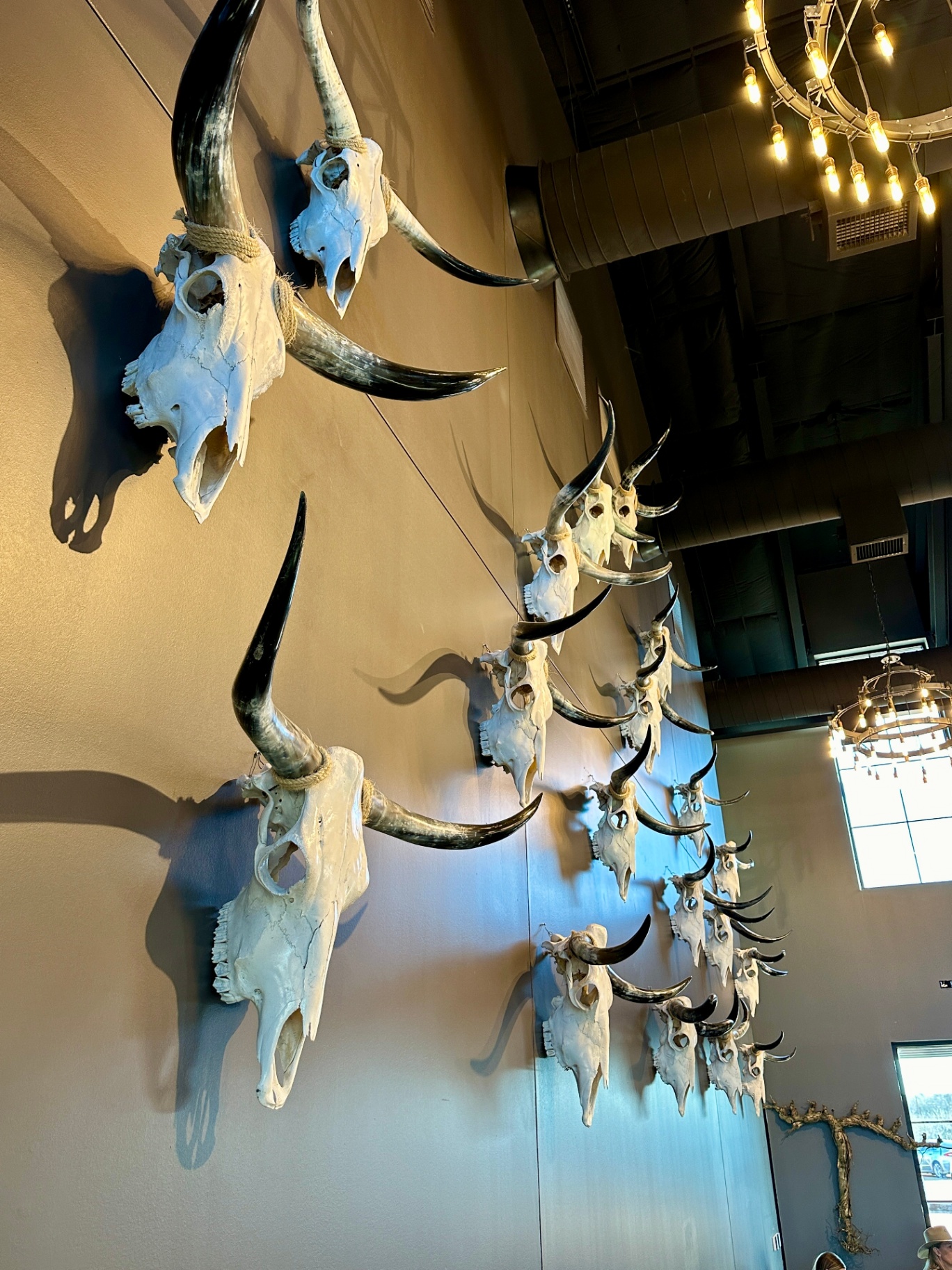 Skull wall at Blumenthal Farms